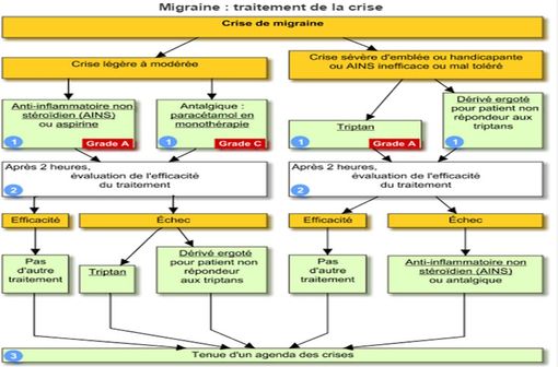 Traitement de la crise de migraine - Arbre décisionnel extrait de VIDAL Reco - Migraine (illustration).