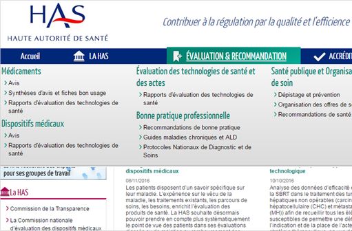 Capture d'écran du site de la HAS (illustration). 