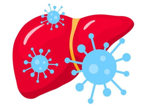 Le virus de l'hépatite A se transmet par l'ingestion d'eau ou d'aliments contaminés ou par contact direct avec une personne infectée (illustration).