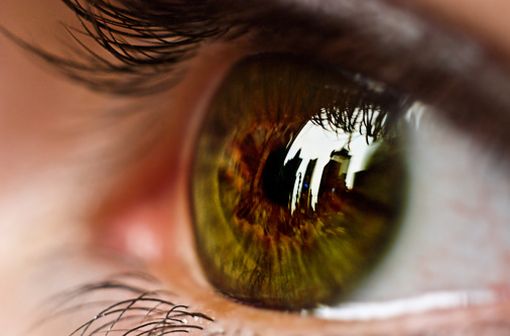 Maladie inflammatoire la plus fréquente de l'œil, l'uvéite constitue l'une des principales causes de perte de vision grave et de cécité (illustration).