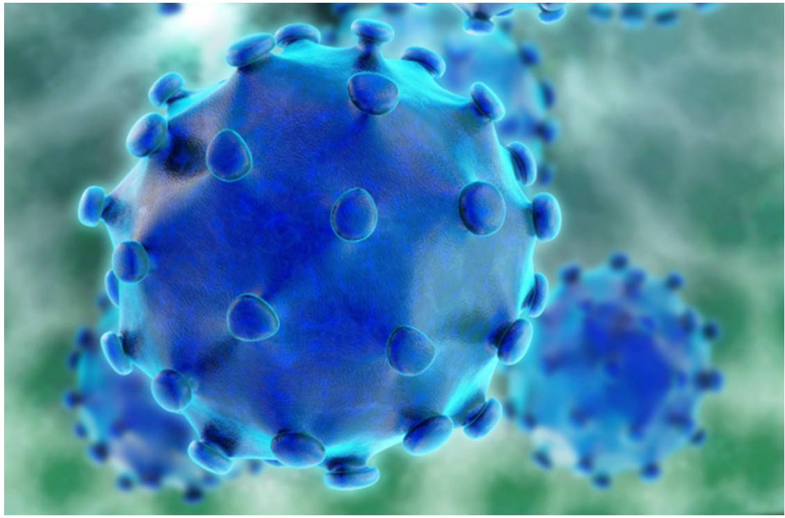 Illustration en 3D du virus de l'hépatite B. 
