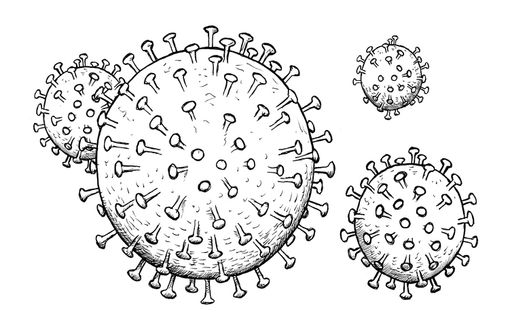 Un virus très recherché... (illustration).
