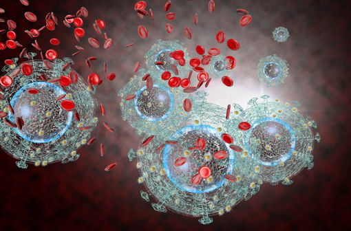 Représentation en 3D de virus de l'immunodéficience humaine (illustration).