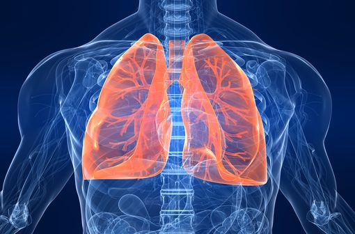 Le cancer du poumon constitue en France le 2e cancer le plus fréquent chez l’homme et le 3e chez la femme (illustration).