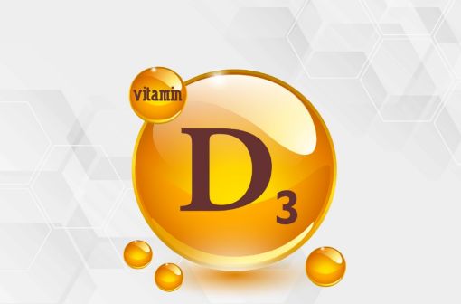 La vitamine D augmente la capacité de l'intestin à absorber le calcium et les phosphates, et favorise la minéralisation du squelette (illustration).