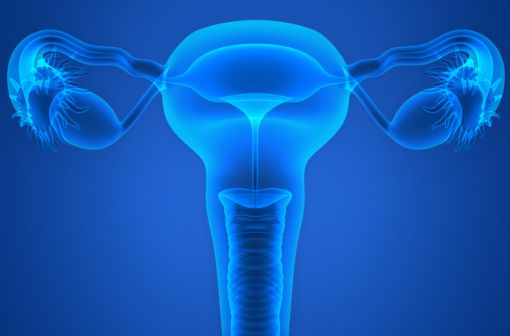 Sous forme de comprimé, LYNPARZA est indiqué dans la prise en charge de cancers pelviens (ovaires, trompes de Fallope, péritoine) et de cancers du sein (illustration).