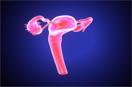 LYNPARZA est indiqué dans la prise en charge du cancer de l'ovaire, des trompes de Fallope ou péritonéal primitif (illustration).