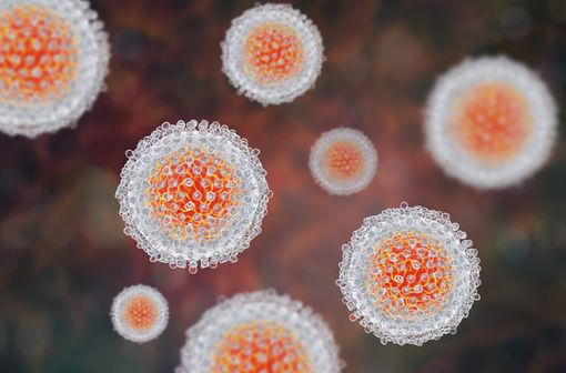 Représentation en 3D de virus de l'hépatite C (illustration).