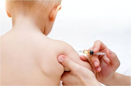 MENINGITEC est indiqué pour l'immunisation active des enfants à partir de l'âge de 2 mois, des adolescents et des adultes, pour la prévention des maladies invasives dues à Neisseria meningitidis du sérogroupe C (illustration).