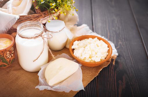 L'allergie aux protéines du lait de vache se distingue de l'intolérance au lactose qui est une réaction non immunologique au lait, causée par le manque de lactases (illustration).