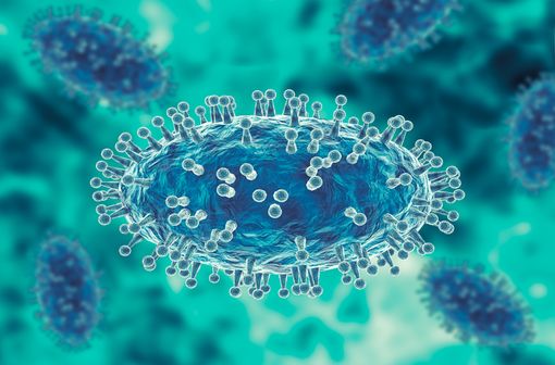 Représentation en 3D de virus de la variole du singe (illustration).