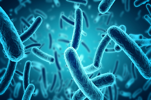 Le microbiote intestinal d'un être humain contient environ 100 000 milliards de bactéries, toutes dotées d'un génome (illustration). 