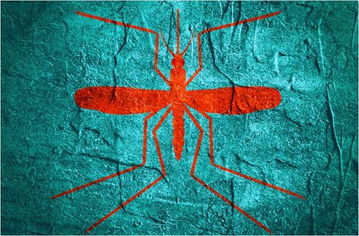 NIVAQUINE est notamment indiqué dans le traitement curatif et préventif du paludisme (illustration).