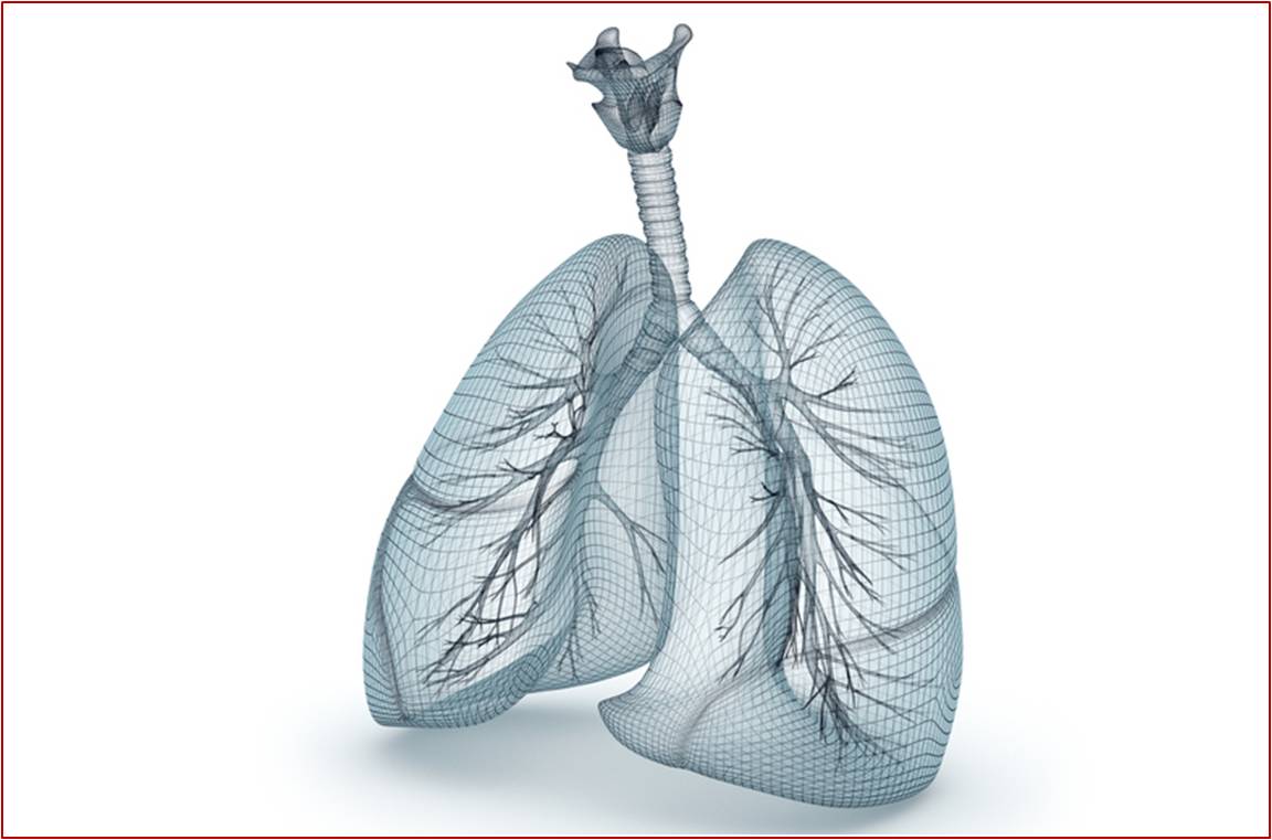 NUCALA est un nouvel anti-asthmatique indiqué chez l’adulte en traitement additionnel dans l'asthme sévère réfractaire à éosinophiles (illustration).