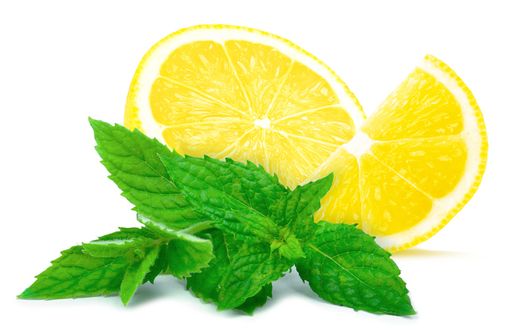 Le lot DG012 de NUROFENTABS 200 mg comprimé orodispersible est rappelé en raison d'une erreur d'arôme, le citron ayant été utilisé à la place de la menthe lors de la fabrication (illustration).