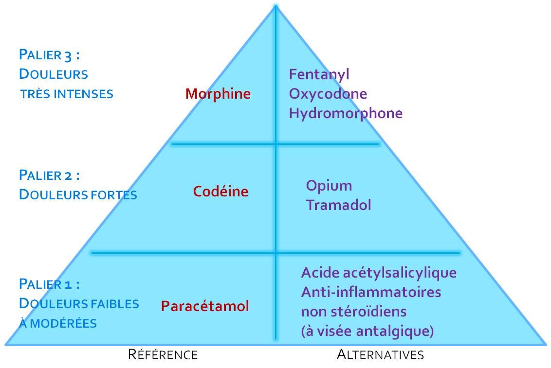Le sufentanil est un analgésique morphinomimétique très puissant, 7 à 10 fois plus puissant que le fentanyl chez l'homme (illustration).