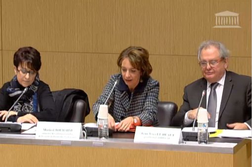 Catherine Lemorton, Marisol Touraine et Jean-Yves Le Déaut (capture d'écran, © Assemblée Nationale).