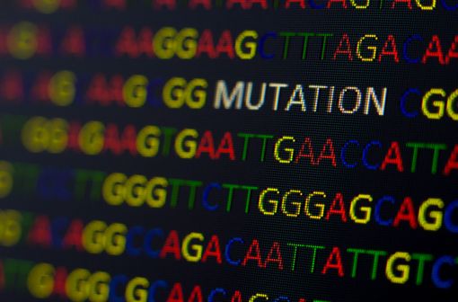 La mutation F508del du gène CFTR, expose à une forme relativement sévère de mucoviscidose (illlustration).