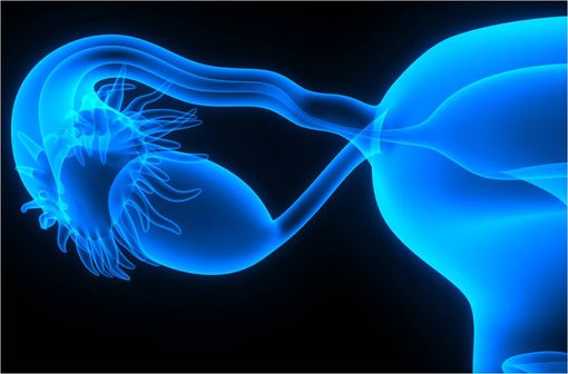 Le clominofène est un stimulant de l'ovulation synthétique utilisé dans la prise en charge d'inductions de l’ovulation, d'hypofertilités et de tests diagnostiques et thérapeutiques (illustration).