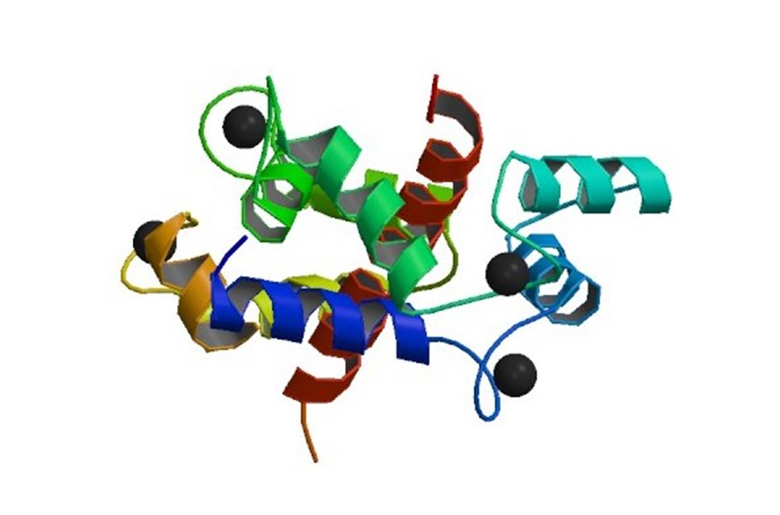 Des anomalies génétiques, notamment sur le gène RYR1 codant pour le récepteur 1 à la ryanodine, sont habituellement détectées chez les patients présentant une hyperthermie maligne (illustration : @ ProteinBoxBot, Wikimedia).