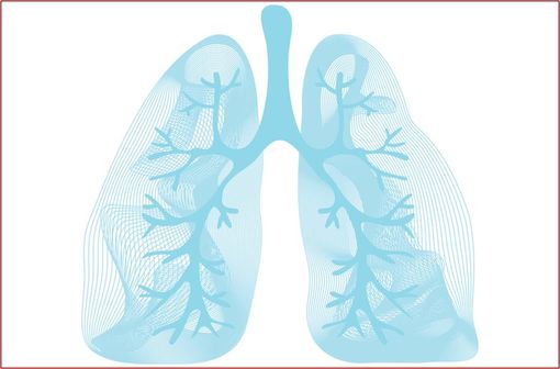 REVINTY ELLIPTA est indiqué dans la prise en charge de l'asthme et de la BPCO (illustration).