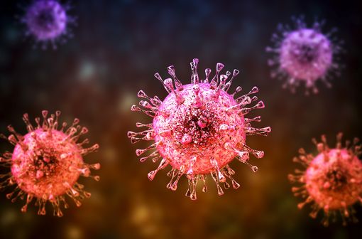 Représentation en 3D de cytomégalovirus (illustration).