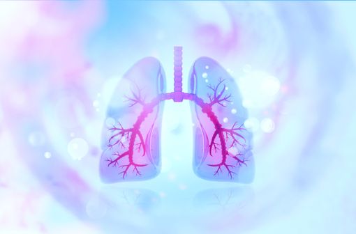 SPIRIVA RESPIMAT et SPIOLTO RESPIMAT sont indiqués dans la prise en charge de l'asthme et/ou la BPCO (illustration).