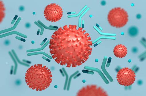 Des études de séroprévalence en cours dans la COVID-19 (illustration). 