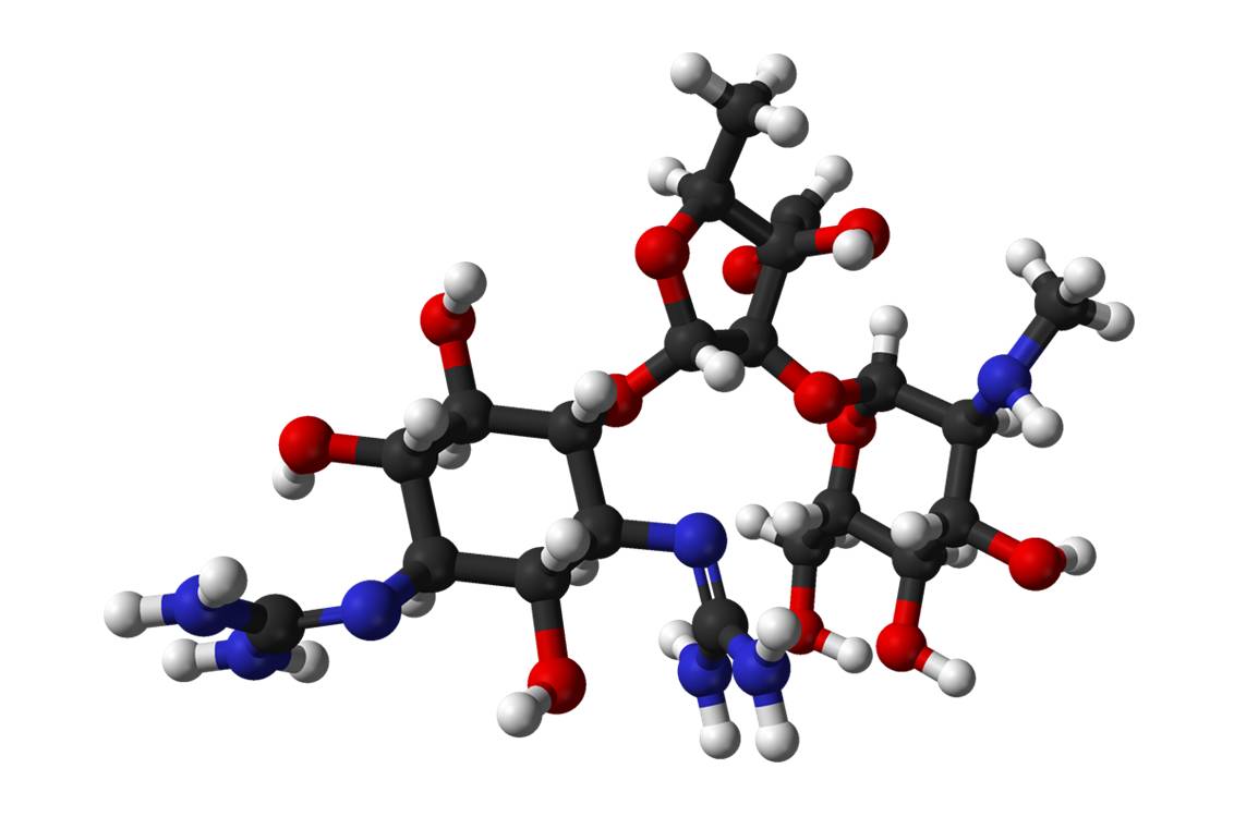Premier antibiotique de la classe des aminosides, la streptomycine fut découverte en 1943 par un étudiant, Albert Schatz (image : @ Ben Mills, Wikimedia).