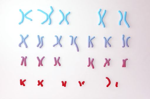 Illustration 3D montrant les chromosomes 9 et 22 défectueux avec un défaut de translation qui cause la leucémie myéloïde chronique (illustration)