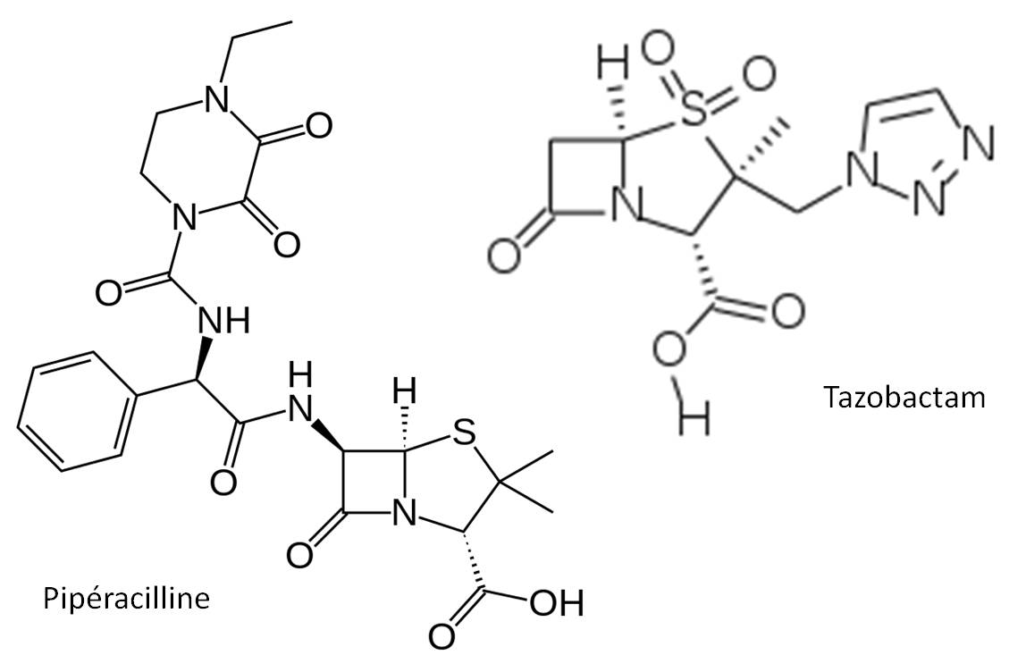 TAZOCILLINE se compose de 2 antibiotiques, la pipéracilline (à gauche) et le tazobactam (à droite) [images : @ Wikimedia].