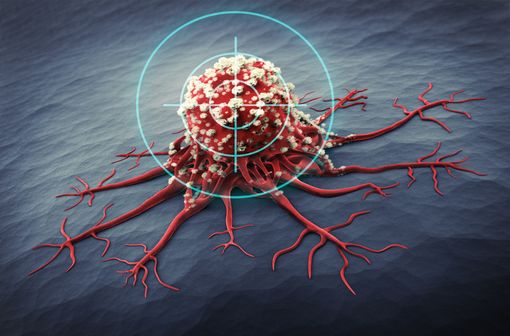 Les thérapies ciblées visent à inhiber les processus à l'origine de la formation et de la prolifération cellulaire des cancers (illustration).