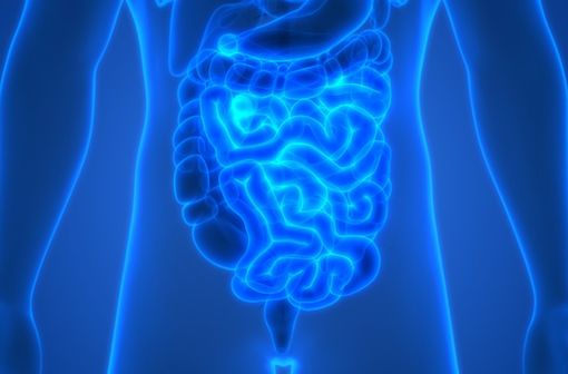 L'iléus paralytique est une hypomotricité intestinale d'origine fonctionnelle qui peut aller jusqu'à un arrêt total du transit intestinal (illustration).
