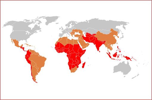 Zones d'endémie de la fièvre typhoïde dans le monde en 2000 (rouge : endémie forte, marron : endémie moyenne) [illustration @CC BY-SA 3.0].