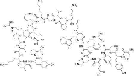 Le tétracosactide est un polypeptide possédant les propriétés stimulantes de l'ACTH sur la corticosurrénale (© Wikimedia).