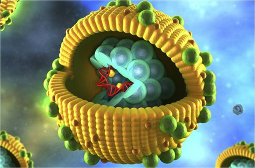 Représentation en 3D d'un virus de l'hépatite A (illustration).