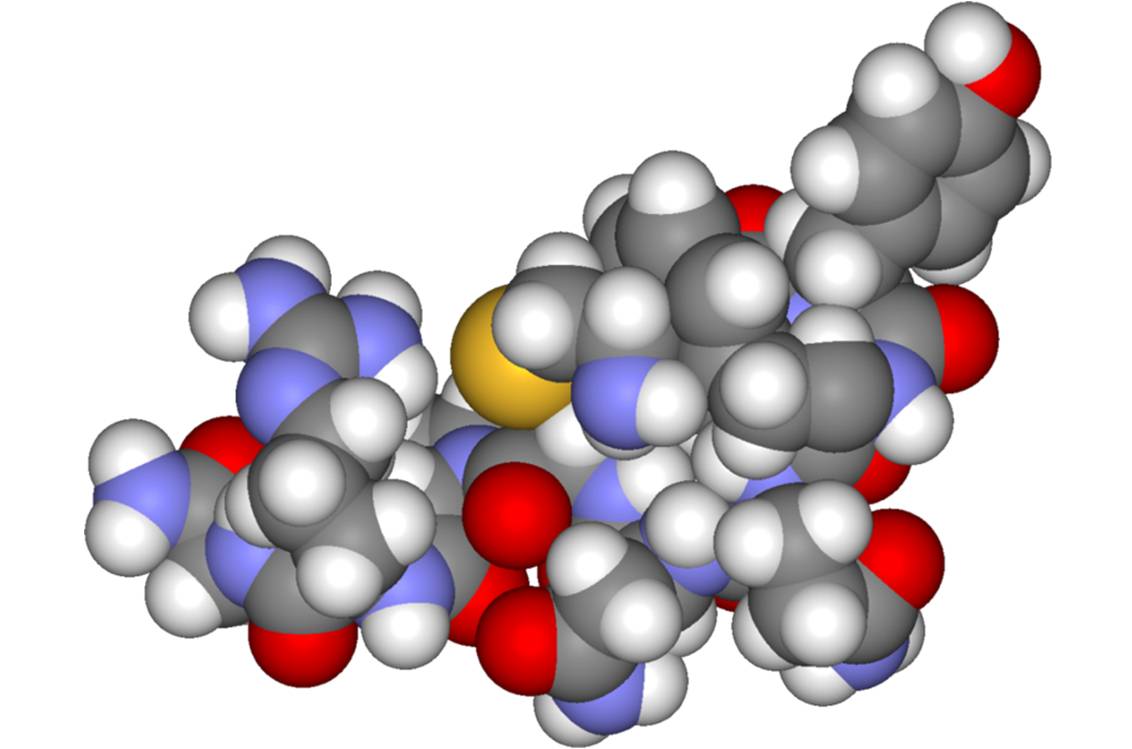 Structure chimique (à gauche) et moléculaire en 3D (à droite) de l'hormone antidiurétique (images : @ Wikimedia).