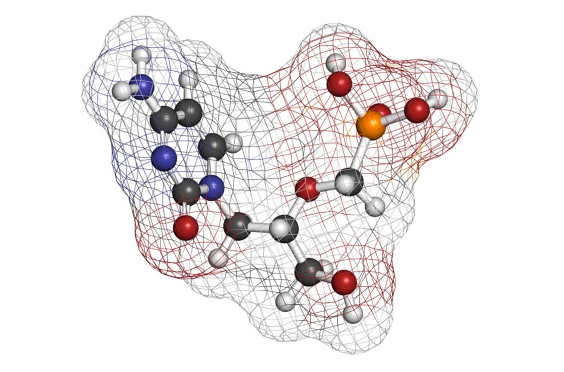 Structure moléculaire du cidofovir.
