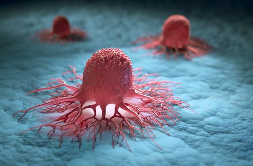 Les tumeurs solides avec une fusion des gènes NTRK représentent un groupe hétérogène de tumeurs incluant notamment le cancer du poumon, le mélanome, le cancer du sein, etc. (illustration).