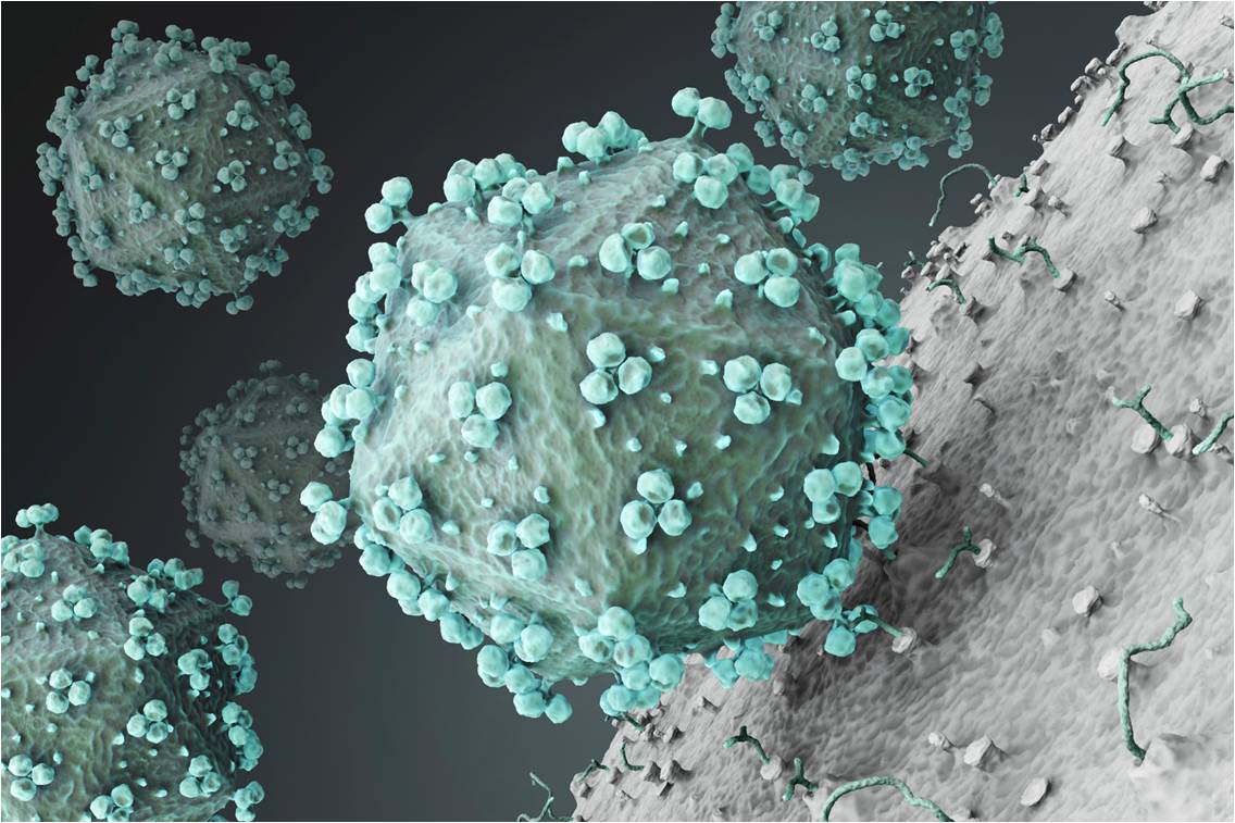 Représentation en 3D du VIH.