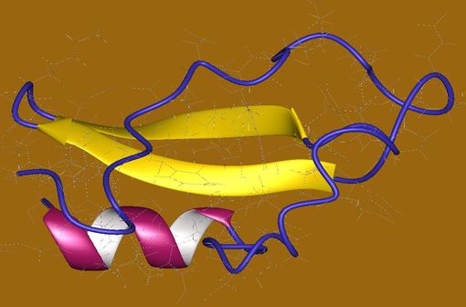 Représentation en 3D d’une molécule d’anticoagulant direct (Illustration @Antuch W., Guntert P., Billeter M., Wuthric K. sur Wikimedia).