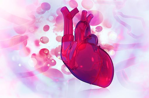 XARELTO n'est pas autorisé dans la thromboprophylaxie chez les patients porteurs de valves cardiaques prothétiques, y compris les patients ayant bénéficié d'un TAVI (illustration).