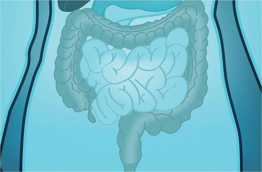 XIMEPEG est indiqué dans le lavage intestinal préalable à tout examen nécessitant un intestin propre comme une exploration endoscopique ou radiologique (illustration).