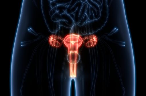 En France, le nombre de nouveaux cas de cancers de l’ovaire était de 5 193 patientes en 2018, faisant de ce cancer le 2e cancer gynécologique (source : INCa, 2018) [illustration].