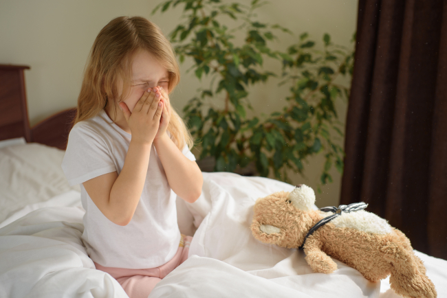 Les enfants éligibles ont un test de sensibilisation positif aux acariens (prick test et/ou IgE).