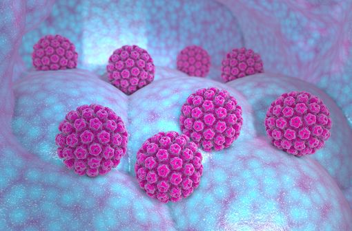 Représentation en 3D de papillomavirus humains.