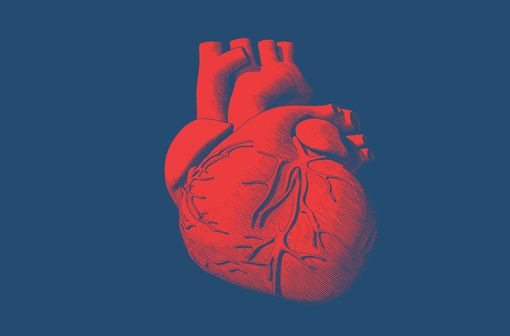 De multiples mécanismes en jeu dans les atteintes cardiaques de la COVID-19 (illustration).