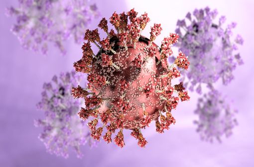 Représentation en 3D de virus SARS-CoV-2.
 width=