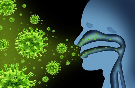 La transmission interhumaine de la grippe est essentiellement respiratoire.