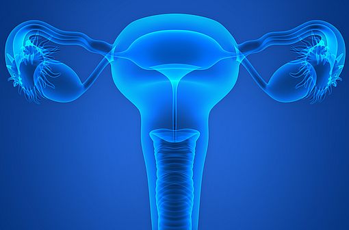 <p>Par voie orale, le lévonorgestrel agit principalement en bloquant et/ou en retardant l'ovulation.</p>